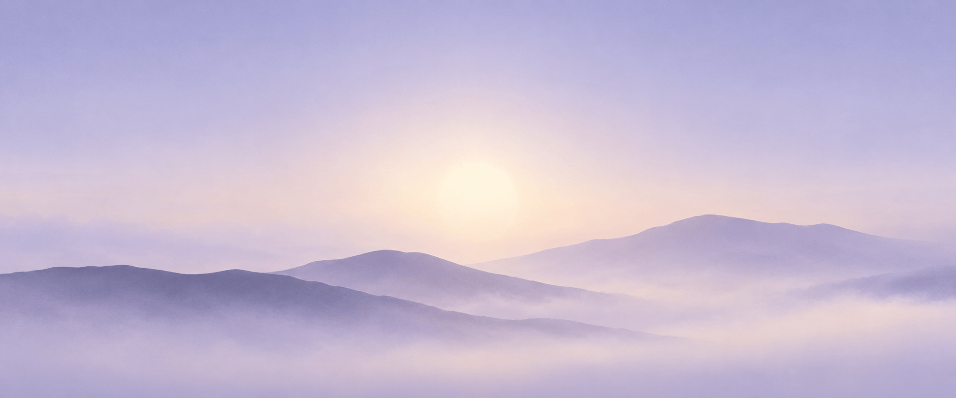 Banner image of the blog