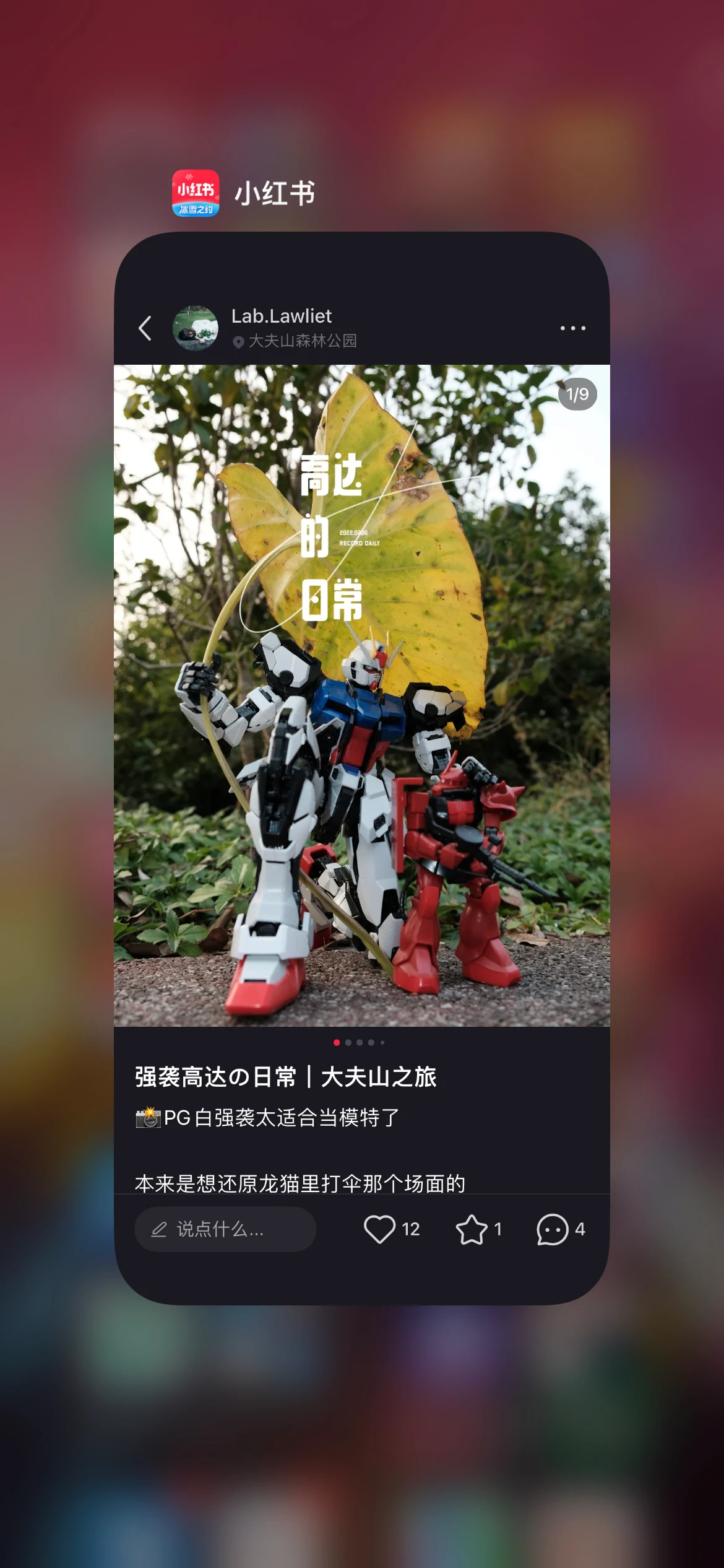 小红书